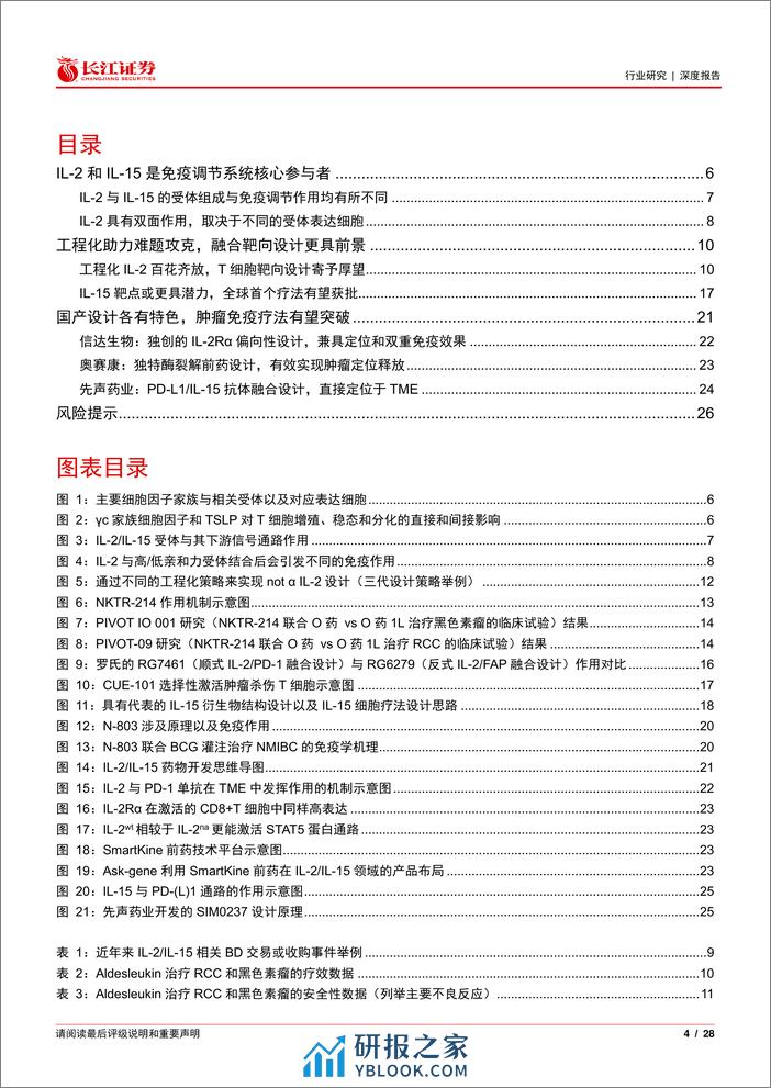 医疗保健行业IL-2与IL-15免疫疗法：工程技术助力难题攻克，拨云见日终有时-240401-长江证券-28页 - 第4页预览图