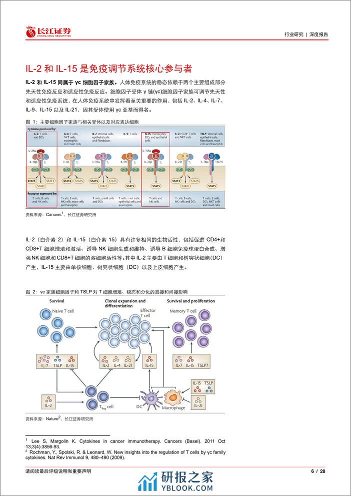 医疗保健行业IL-2与IL-15免疫疗法：工程技术助力难题攻克，拨云见日终有时-240401-长江证券-28页 - 第6页预览图