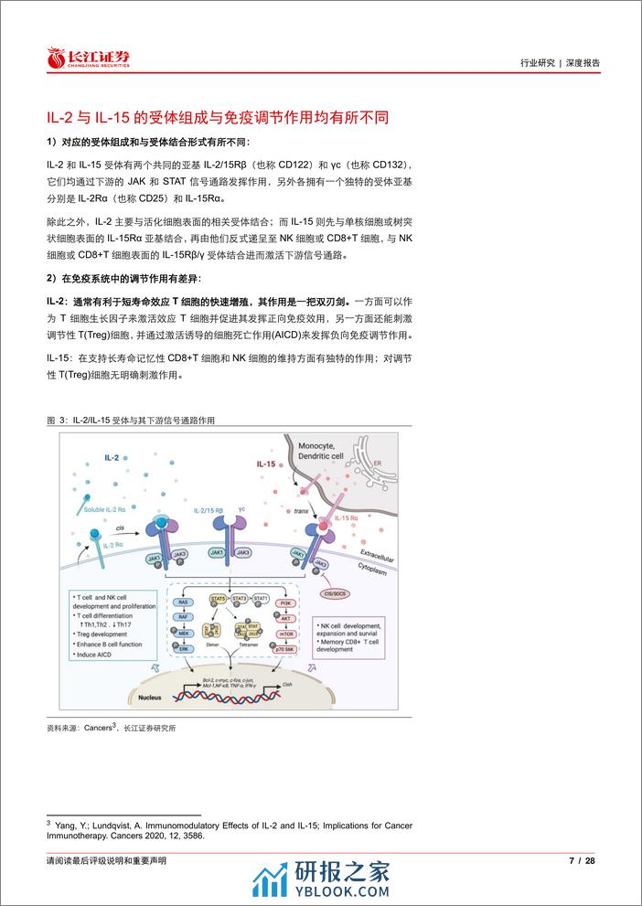 医疗保健行业IL-2与IL-15免疫疗法：工程技术助力难题攻克，拨云见日终有时-240401-长江证券-28页 - 第7页预览图