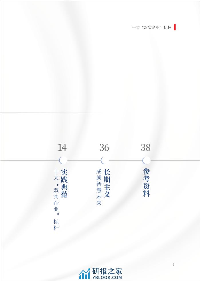 中国企业家：2023十大“双实企业”标杆数据报告-数实融合 换新动能 - 第4页预览图