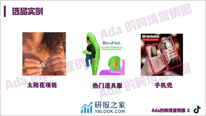 SSS-TIKTOK选品报告 - 第3页预览图