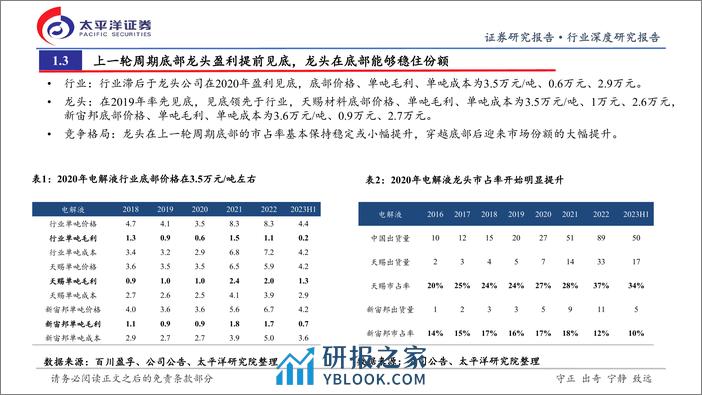 电解液行业深度研究：电解液周期性研究（系列一）：行业底部到来，看好龙头穿越周期成长 - 第6页预览图