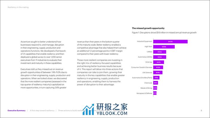 报告：正在形成的弹性 (1) - 第3页预览图