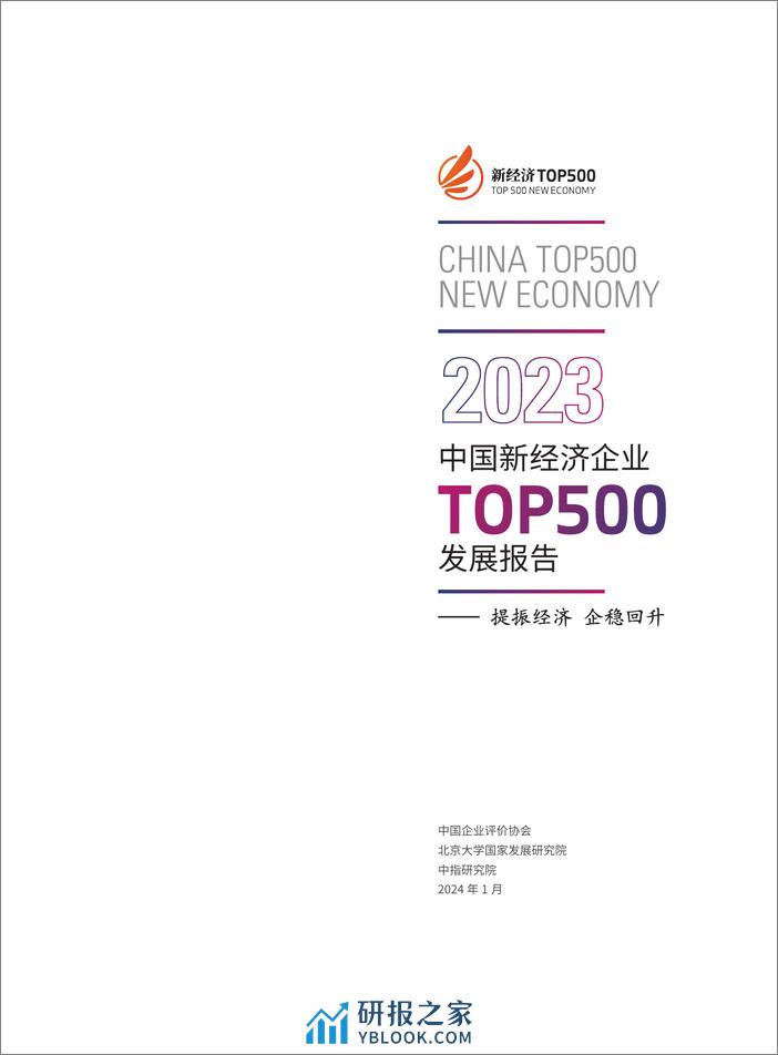 2023中国新经济企业TOP500发展报告-北京大学国家发展研究院 - 第2页预览图