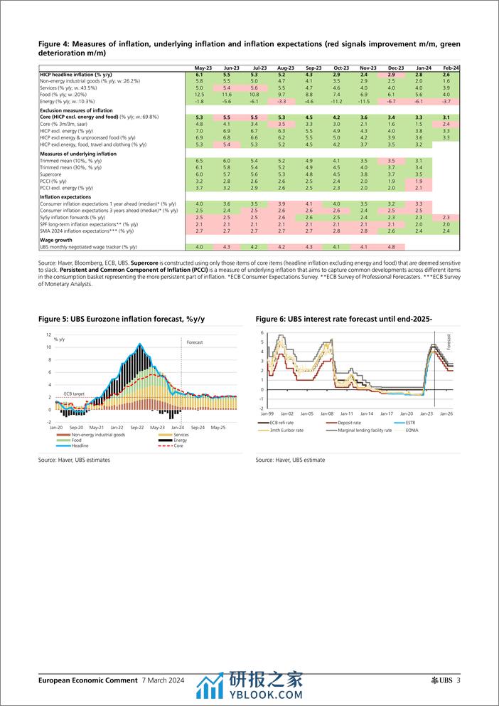 UBS Economics-European Economic Comment _ECB First rate cut unlikely befo...-106917331 - 第3页预览图