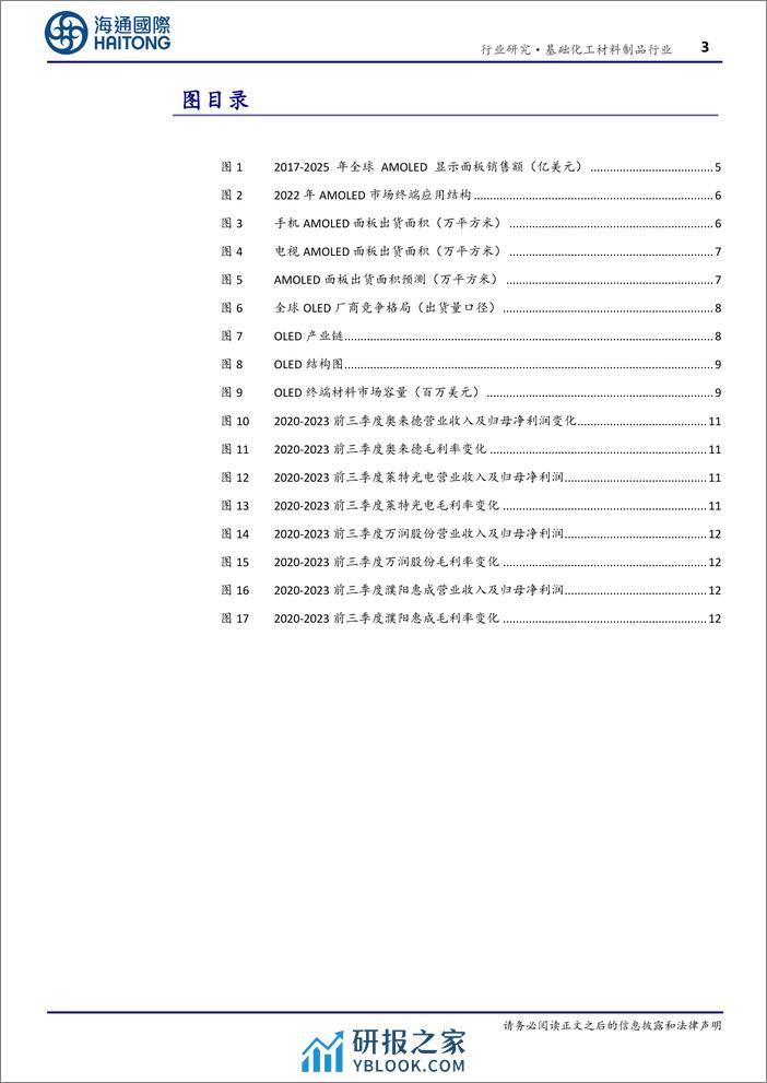 基础化工材料制品行业：OLED下游需求持续增长，终端材料逐步实现进口替代-240314-海通国际-20页 - 第3页预览图