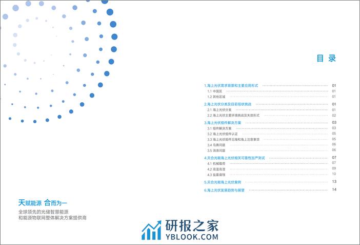 海上光伏行业组件白皮书-天合光能 - 第3页预览图