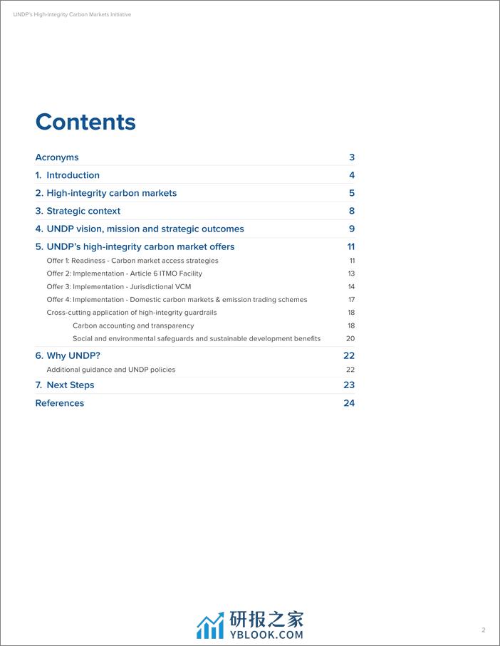 UNDP的高诚信碳市场倡议报告（英文版）-联合国开发计划署 - 第3页预览图