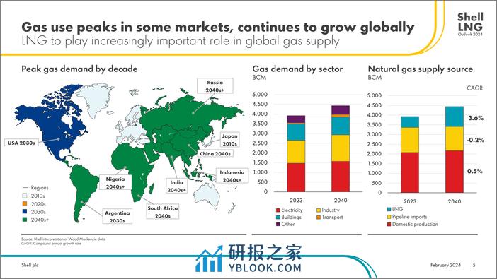 全球液化天然市场前景报告2024（英）-36页 - 第5页预览图