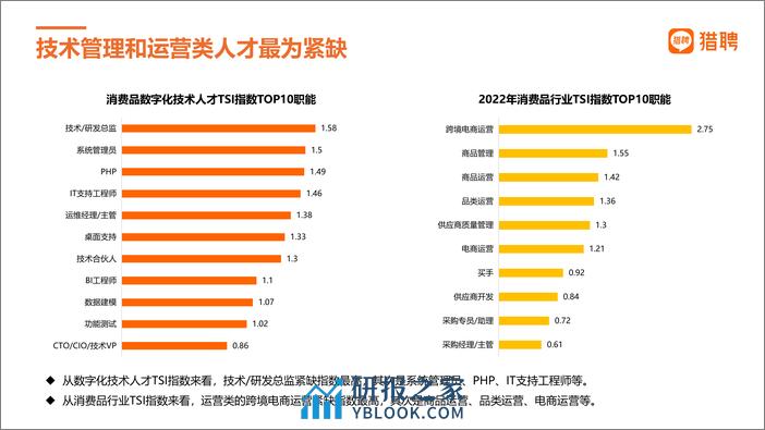 猎聘：消费品和跨境电商人才数据 - 第8页预览图