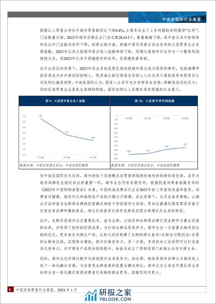 中诚信国际-中国实体零售行业展望，2024年1月 - 第6页预览图