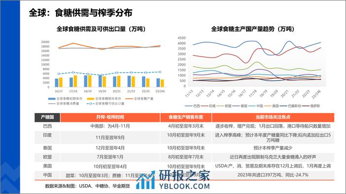 全球糖市纵览-20240202-华金期货-18页 - 第3页预览图