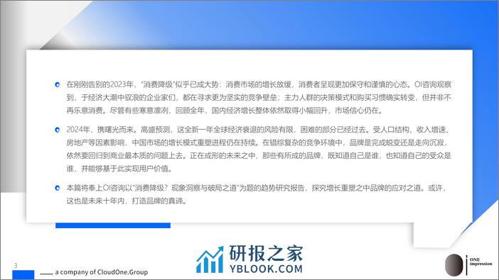 消费降级？现象洞察与破局之道报告-OI咨询 - 第3页预览图