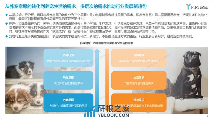 2023中国宠物行业新趋势洞察 - 0718 - 第6页预览图