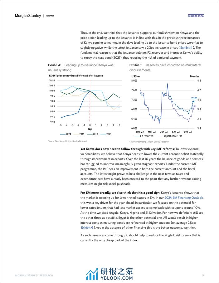 Morgan Stanley Fixed-Global EM Strategist Kenya Leads the Way-106597806 - 第5页预览图