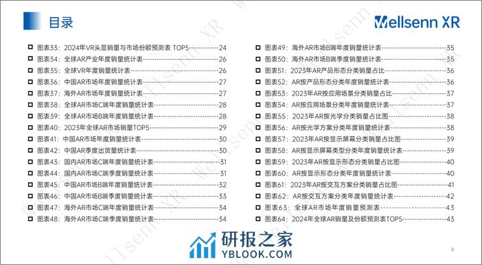 Wellsenn XR年度产业报告2023 - 第6页预览图