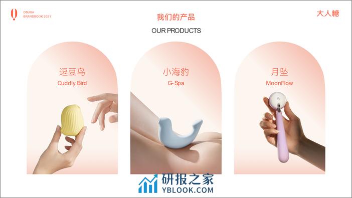 女性情趣品牌大人糖品牌书【情趣用品】【品牌手册】 - 第6页预览图