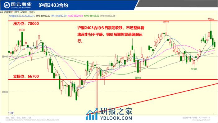 国元点睛-20240205-国元期货-28页 - 第3页预览图