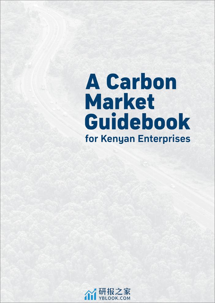 世界银行-肯尼亚企业碳市场指南（英）-2024-96页 - 第3页预览图