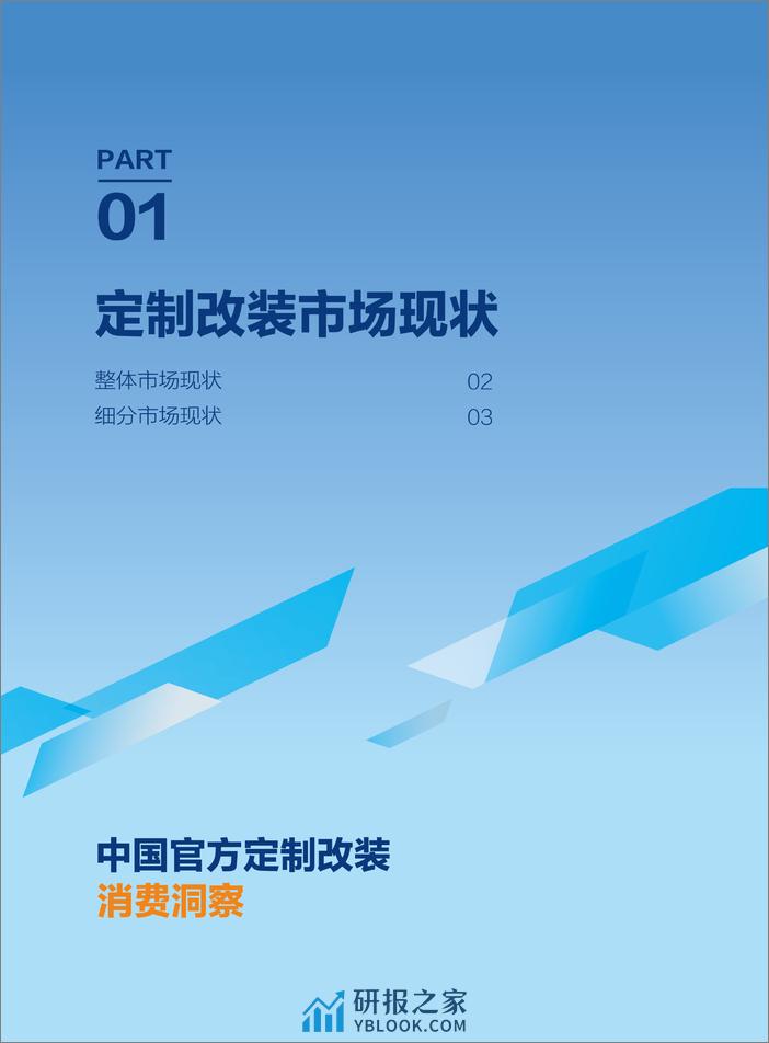 2024中国官方汽车定制改装消费洞察-汽车之家-2024-38页 - 第6页预览图