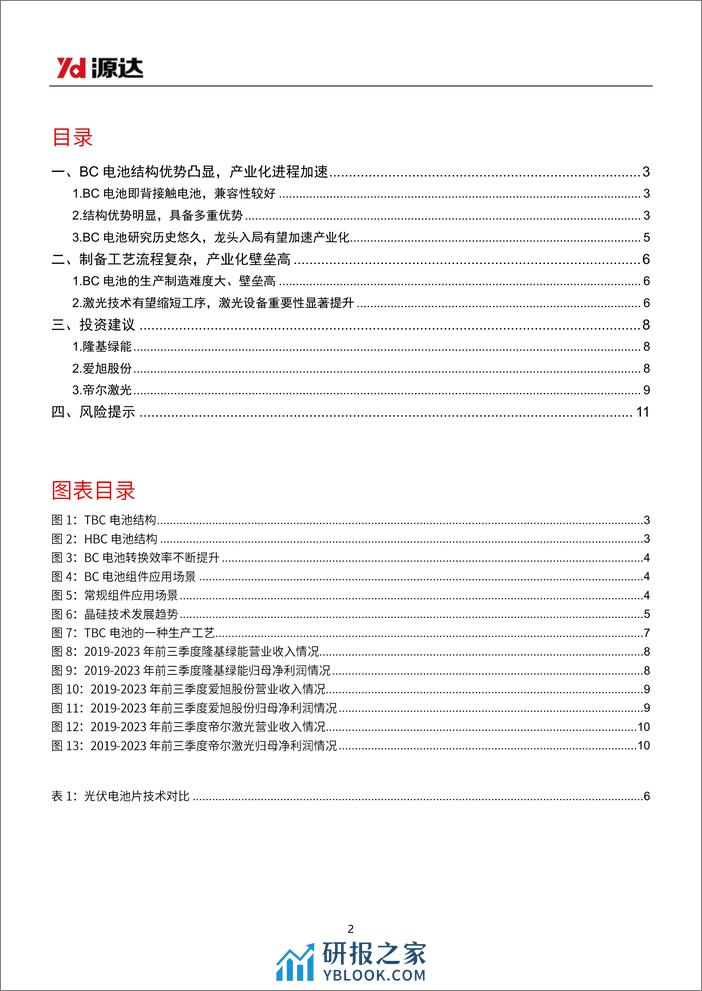 BC电池专题研究：平台型技术优势凸显，龙头入局有望加速产业化 - 第2页预览图