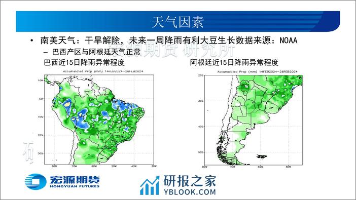 豆类油脂三月份报告：豆类反弹先锋，油脂跟随企稳-20240304-宏源期货-25页 - 第7页预览图