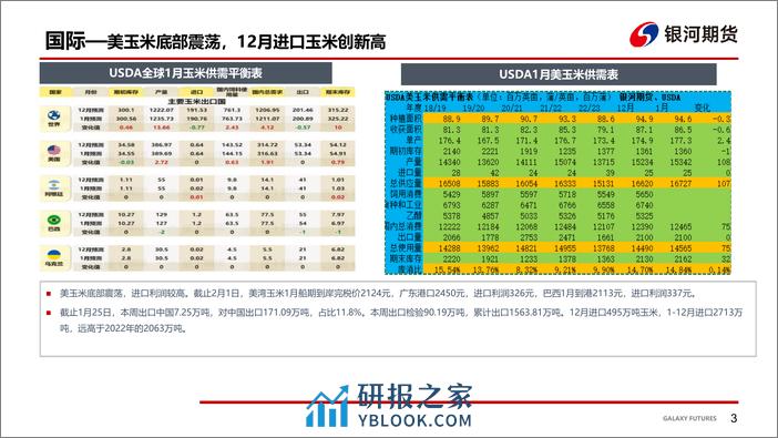 华北雨雪影响 玉米现货反弹-20240202-银河期货-18页 - 第4页预览图