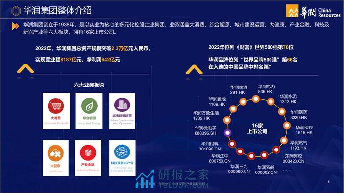 华润数字化人才培养的策略与实践 - 第3页预览图