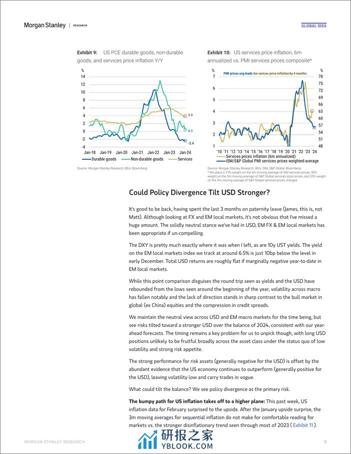 Morgan Stanley Fixed-Global Macro Strategist The Dots Go Marching-107059299 - 第5页预览图