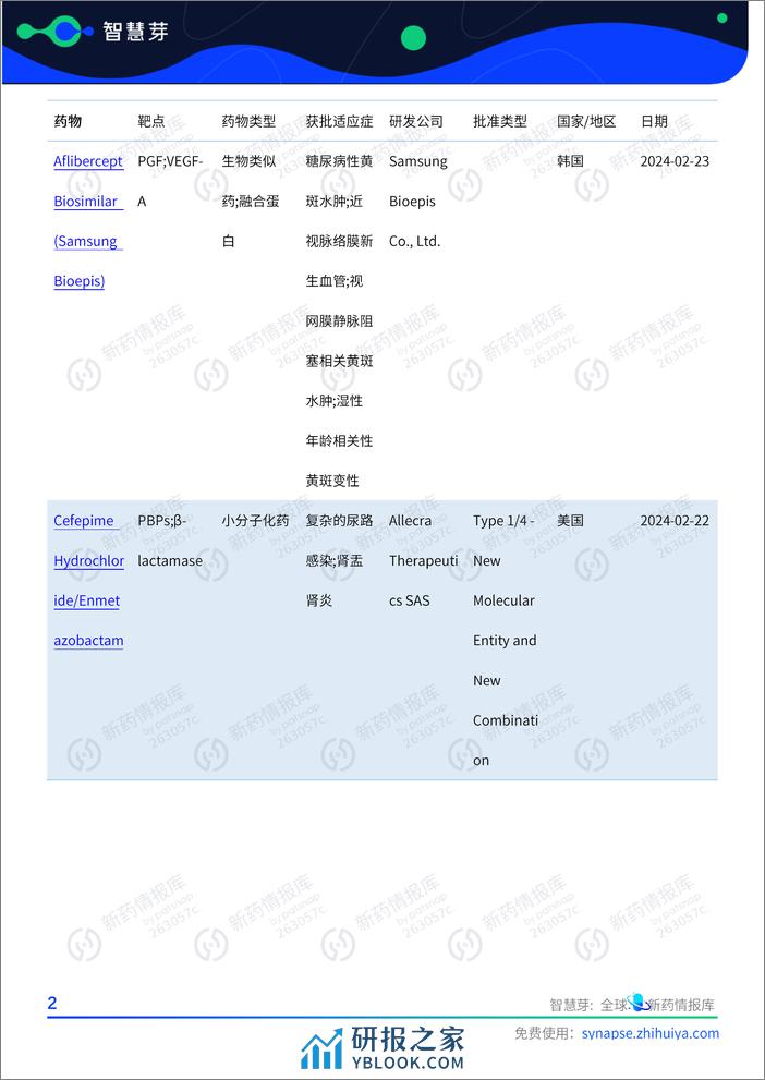 2024年2月全球首批及特殊审评药物报告 - 第5页预览图