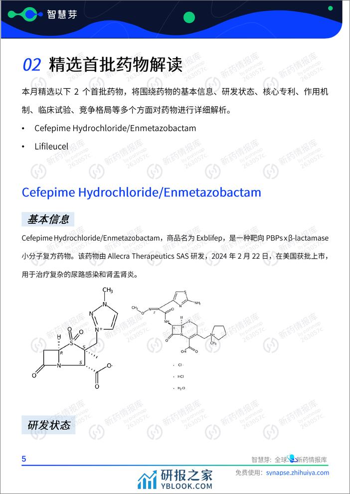 2024年2月全球首批及特殊审评药物报告 - 第8页预览图