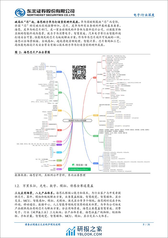 做大海思，实现中国半导体全产业自主可控 - 第5页预览图
