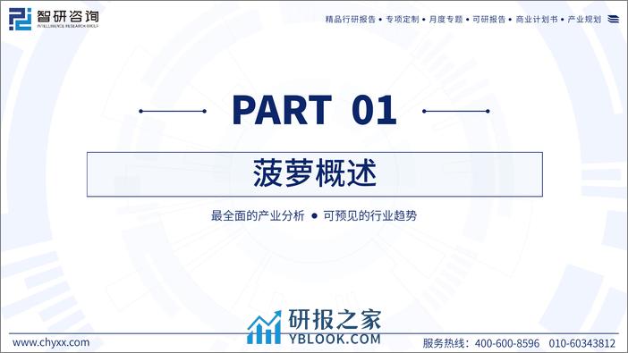 2023年中国菠萝产业现状及发展前景分析研究报告 - 第3页预览图