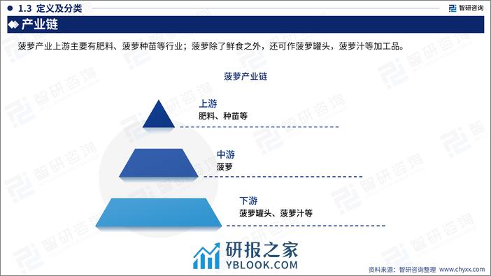 2023年中国菠萝产业现状及发展前景分析研究报告 - 第6页预览图