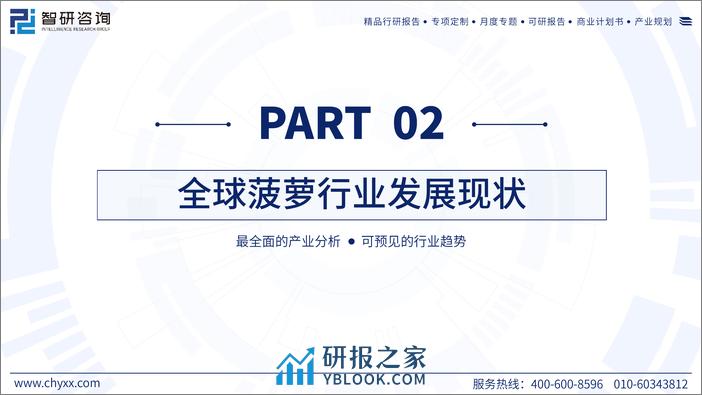 2023年中国菠萝产业现状及发展前景分析研究报告 - 第7页预览图