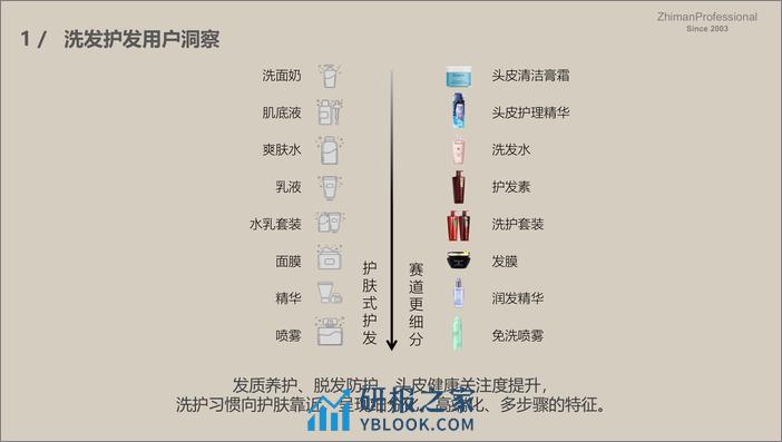 芝曼（zhiman）：2023中国大陆洗发护发线上市场洞察白皮书 - 第7页预览图