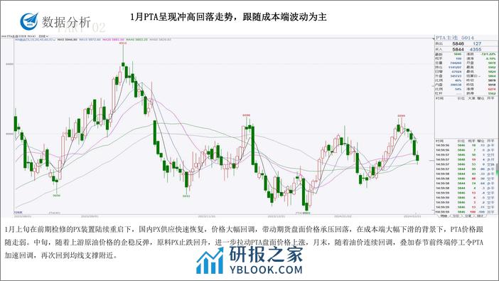 TA产业链月度报告-20240202-中航期货-14页 - 第4页预览图