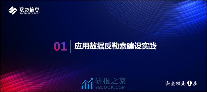 瑞数信息（吴剑刚）：2024直击勒索本质——应用数据反勒索建设实践报告.pdf - 第6页预览图