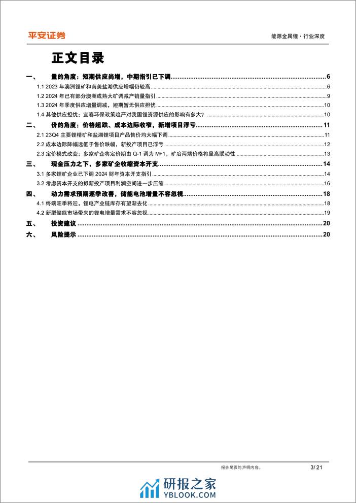 有色与新材料行业新能源材料锂系列(四)：锂资源基本面的重新审视，无近忧而有远虑-240319-平安证券-21页 - 第3页预览图