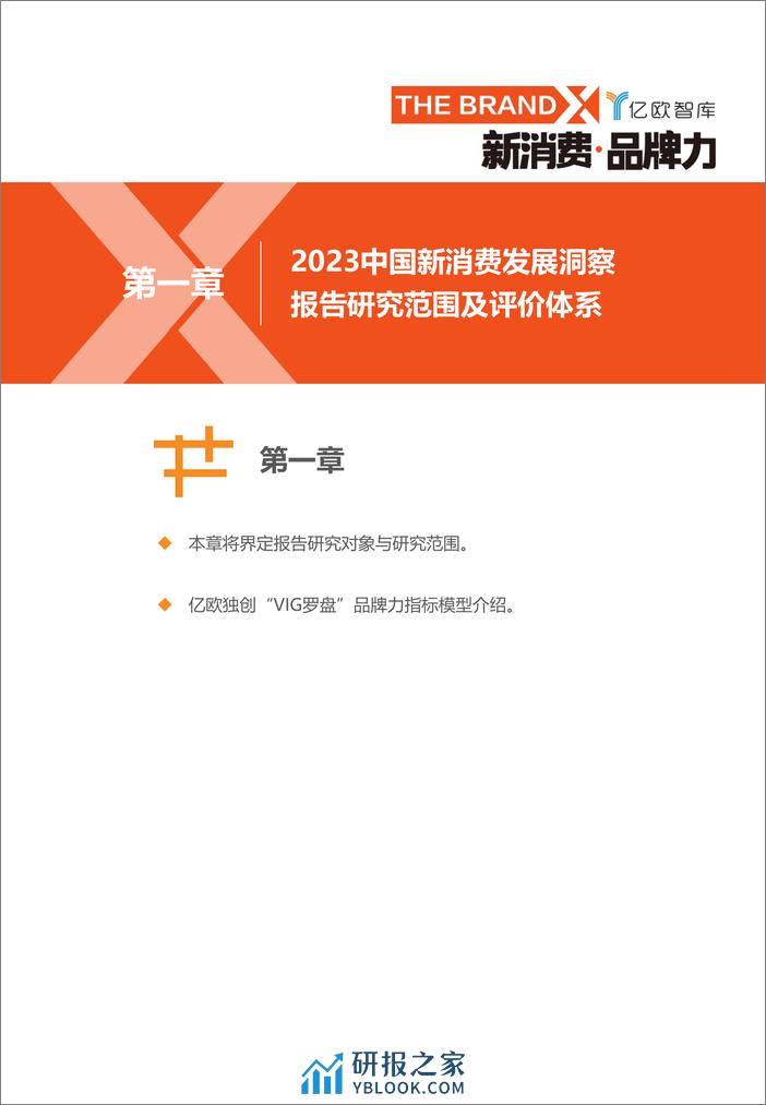 2023中国新消费发展洞察暨品牌力榜单-亿欧智库 - 第6页预览图