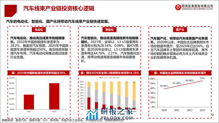 汽车线束行业研究报告：电动化、智能化、国产化背景下，把握汽车线束行业投资机会 - 第3页预览图