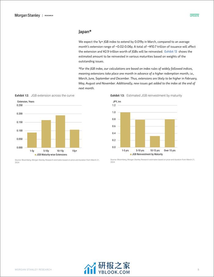 Morgan Stanley Fixed-Global Macro Strategy March Index Extensions-107164426 - 第5页预览图