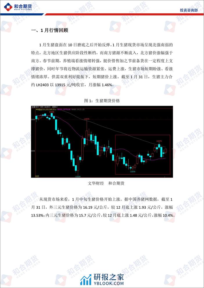 生猪月报（2024年02月）：年关猪肉消费仍有支撑，年后或有回落风险-20240202-和合期货-10页 - 第4页预览图