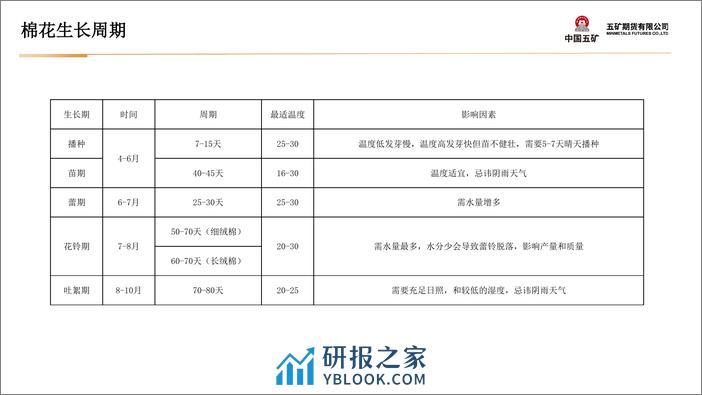 棉花月报：需求持续好转 棉价高位震荡-20240202-五矿期货-40页 - 第8页预览图