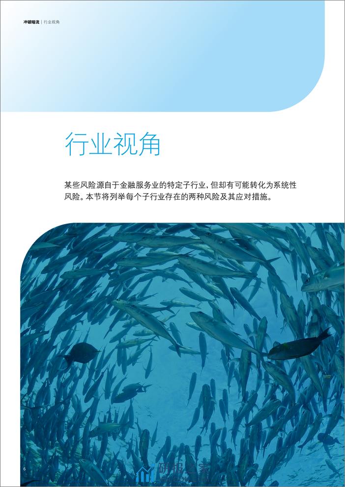 冲破暗流- 影响金融服务业的技术相关系统性风险因素 - 第7页预览图