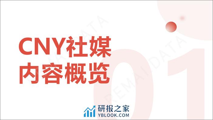 2024CNY营销洞察-35页 - 第4页预览图