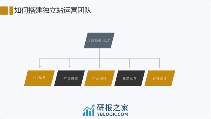 深度解析B2B独立站运营-外贸老司机Alan - 第8页预览图