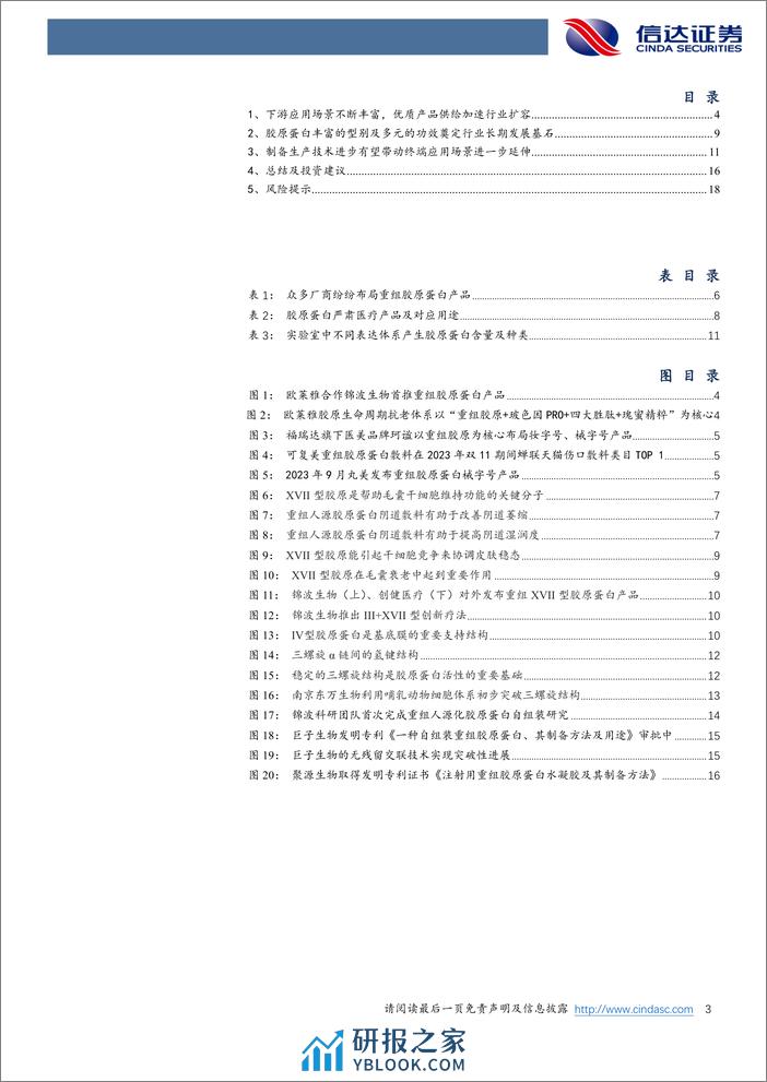 信达证券：胶原蛋白专题系列之一-为什么看好重组胶原蛋白赛道？ - 第3页预览图