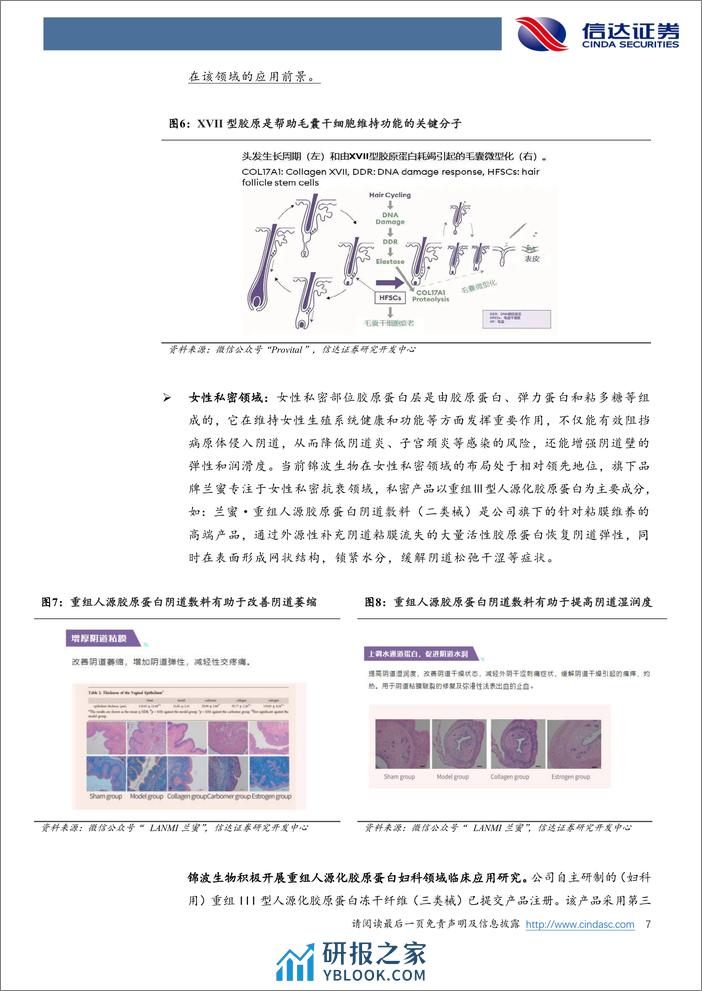 信达证券：胶原蛋白专题系列之一-为什么看好重组胶原蛋白赛道？ - 第7页预览图