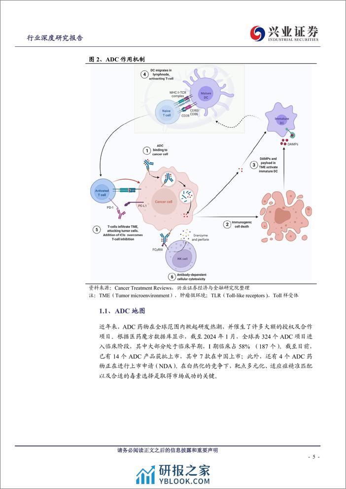 医药行业：ADC引领治疗变革，IO ADC潜力巨大 - 第5页预览图